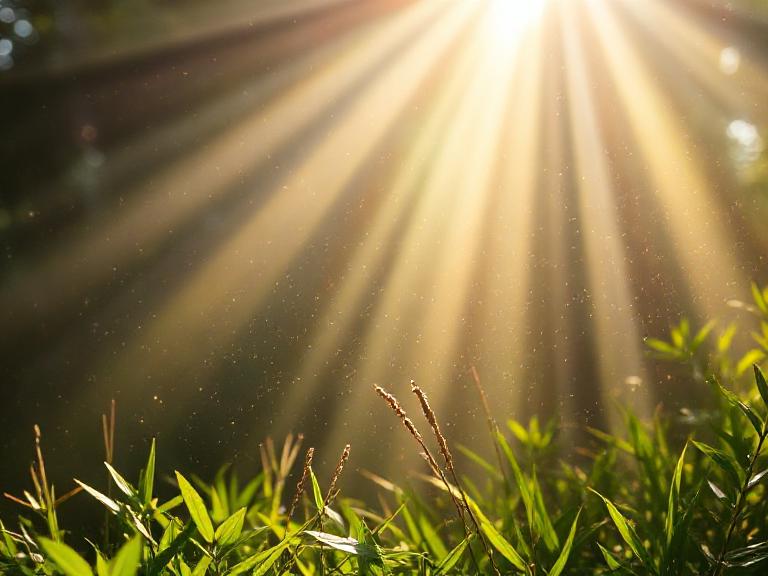 let there be light